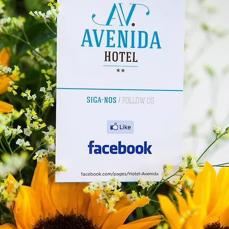 Avenida מלון