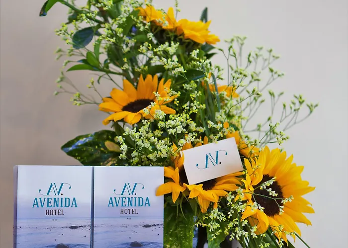 Avenida Hotel Póvoa de Varzim