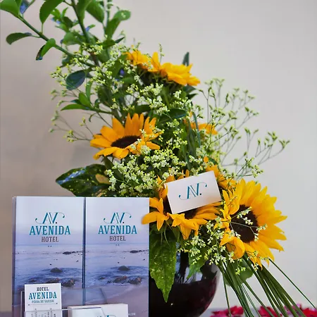 Avenida Отель Повуа-ди-Варзин